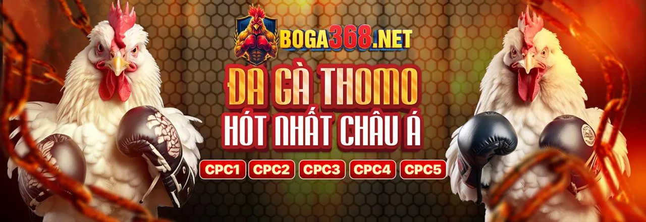 Hình ảnh tổng quan về chiến lược cá cược thể thao hiệu quả tại zo8b
